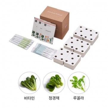 LG 틔운용 씨앗키트 패키지 (푸릇한 패키지 B)